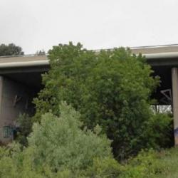 Autoroute A9 - Viaduc PI1307 - AMO pour la désignation des maîtres d'œuvre